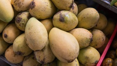 olgun mango üzerinde sayaç yakın çekim. Tayland meyve pazarı 