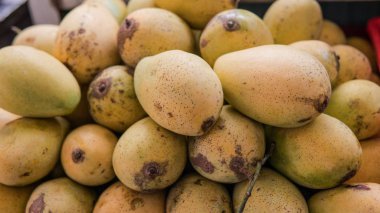 olgun mango üzerinde sayaç yakın çekim. Tayland meyve pazarı 