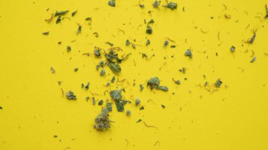  Esrar ve yasaktır kültür