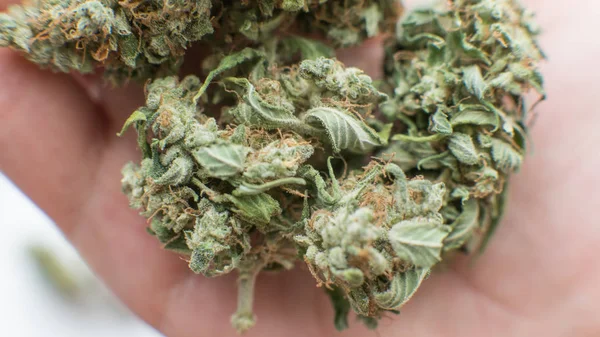 Lékařské marihuany Jar detail. — Stock fotografie