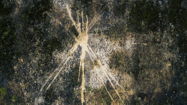 A textura de uma antiga parede de concreto em uma casa arruinada. Construção industrial, concreto e rachaduras — Fotografia de Stock