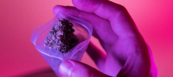 Cannabis medicinal en envase de envoltura retráctil del dispensario —  Fotos de Stock