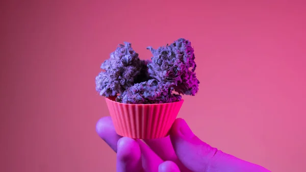 Cupcakes und Kekse aus medizinischer Marihuana-Nahaufnahme backen — Stockfoto