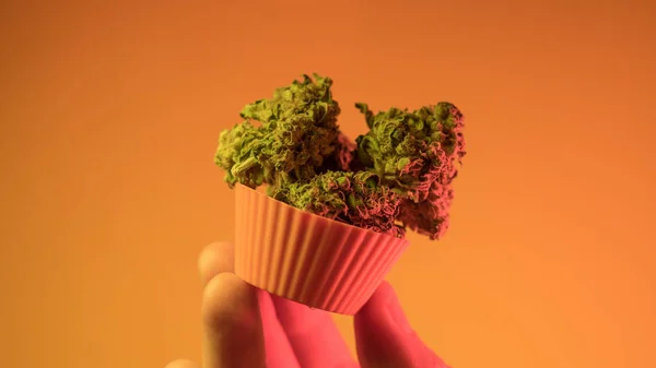 Cupcakes und Kekse aus medizinischer Marihuana-Nahaufnahme backen — Stockfoto