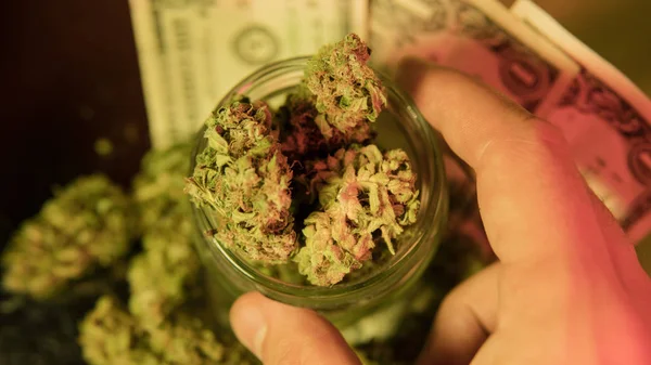 Cannabis obat dalam paket pembungkus menyusut dari apotek — Stok Foto