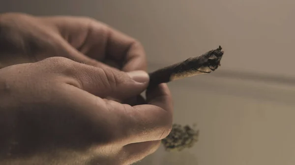 Rollen Sie eine Unkrautknospe stumpf in Menschenhänden aus nächster Nähe. Jointmit den Knospen von Marihuana im Inneren. — Stockfoto