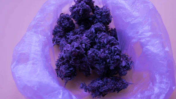 Small business marijuana dispensary in Unated States.Marijuana buds for sale — Stock Photo, Image