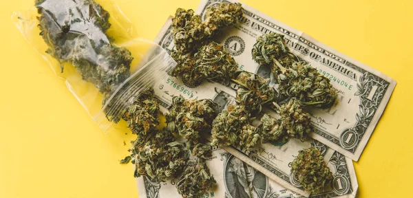 Toko mariyuana kecil di Unated States.Marijuana tunas untuk dijual — Stok Foto