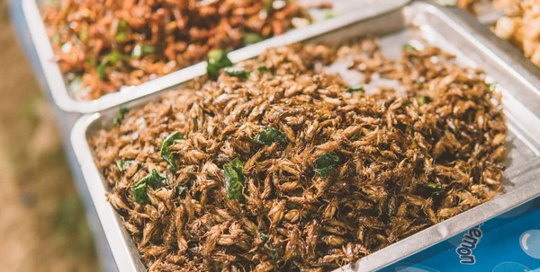 exotic food in the markets of Thailand close-up. cooking larvae and worms as a food