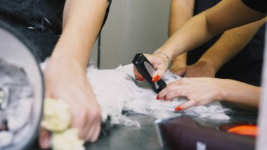  Profesyonel Maine Rakunu Kedi Bakımı.