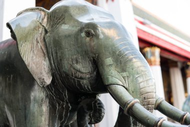 bir fil yakın çekim bronz heykeli
