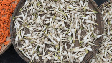 Hoi An sokakları, Vietnam. Hoi bir turist konumlar 