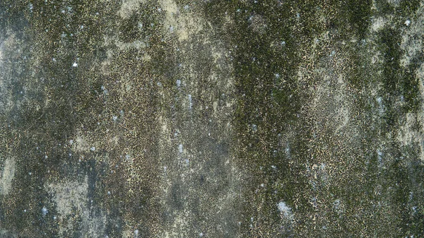 Vecchio grunge muro di cemento — Foto Stock
