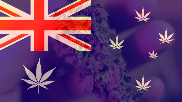 Marihuan verme dünya lideri olarak Avustralya'yı. Esrar ihracat Mirage — Stok fotoğraf