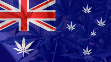 büyüyen ve Avustralya'da esrar tüketmek. Dünya esrar ithalatçı 