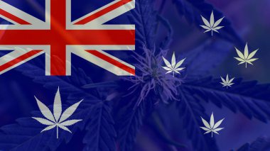 büyüyen ve Avustralya'da esrar tüketmek. Dünya esrar ithalatçı 