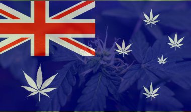 büyüyen ve Avustralya'da esrar tüketmek. Dünya esrar ithalatçı 