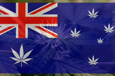 büyüyen ve Avustralya'da esrar tüketmek. Dünya esrar ithalatçı 