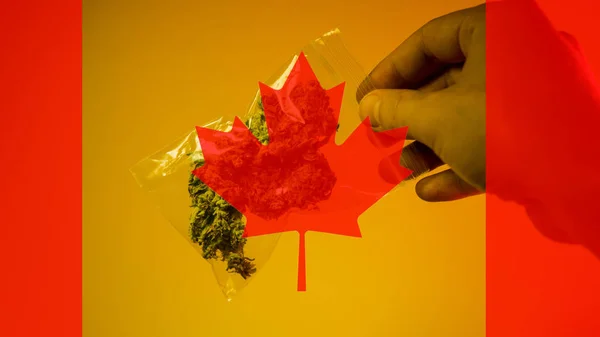 Legalización de la marihuana medicinal en Canadá en 2019 — Foto de Stock