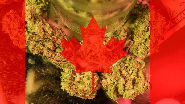 Legalización de la marihuana medicinal en Canadá en 2019 — Foto de Stock