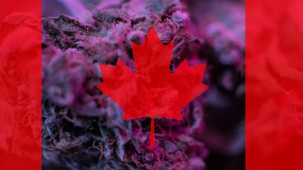 Legalización de la marihuana medicinal en Canadá en 2019 — Foto de Stock