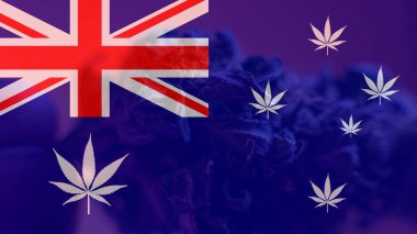 Marihuan verme dünya lideri olarak Avustralya'yı. Esrar ihracat Mirage