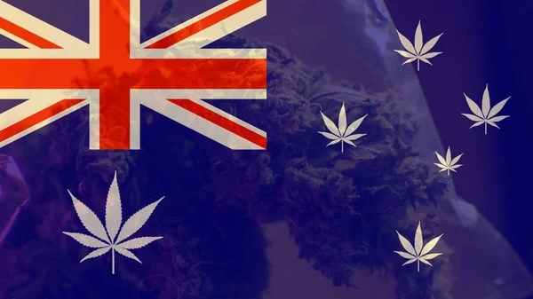 AUSTRALIA AS WORLD LEADER ON MARIHUAN EXPORT. Marijuana Export Mirage