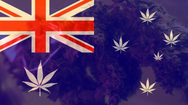 Marihuan verme dünya lideri olarak Avustralya'yı. Esrar ihracat Mirage