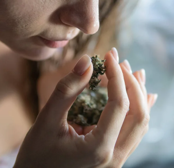  taze esrar tomurcukları elinde tutan kız