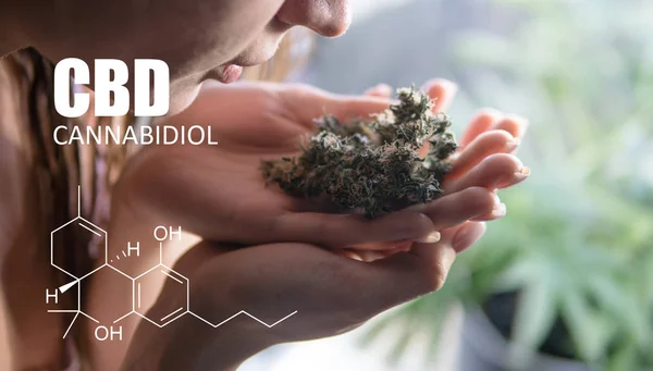 öğeleri Tıbbi Esrar suşları Thc Cbd kimyasal formüller 