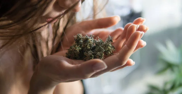 Marijuana i kvinnliga händer. Legalisering av marijuana i världen — Stockfoto