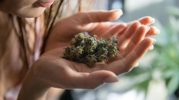 Fille Tenant Des Bourgeons Marijuana Frais Dans Les Mains — Photo
