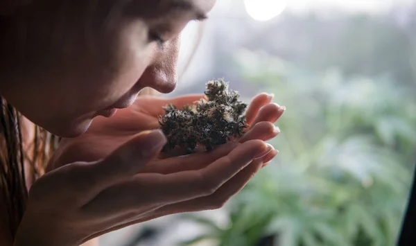  taze esrar tomurcukları elinde tutan kız