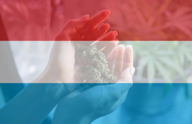 eğlence marihuana yasallaştırma Lüksemburg'kullanın. Esrar yasallaştırmak Lüksemburg '