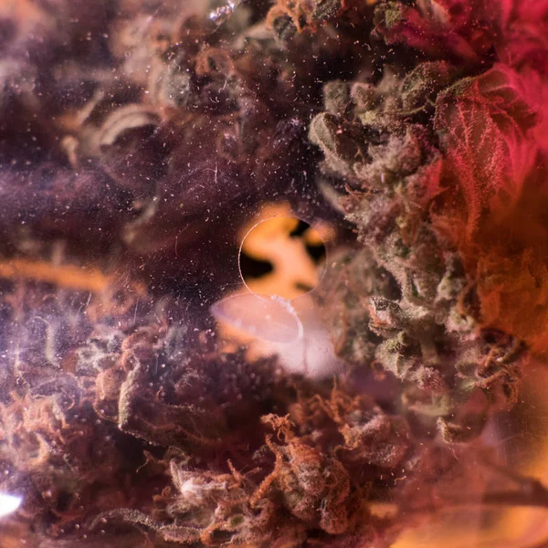 Uma libra de Cannabis Orgânicos de perto. Negócios de marijuana — Fotografia de Stock