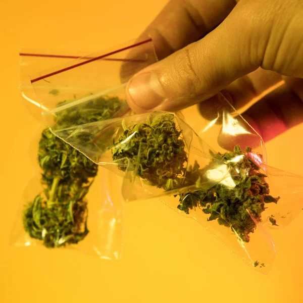 Un kilo de Cannabis Orgánico de cerca. Negocios de marihuana —  Fotos de Stock