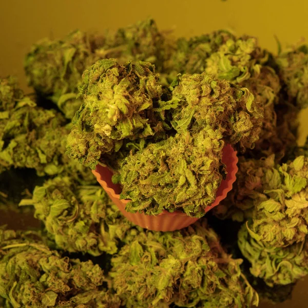 Un kilo de Cannabis Orgánico de cerca. Negocios de marihuana —  Fotos de Stock