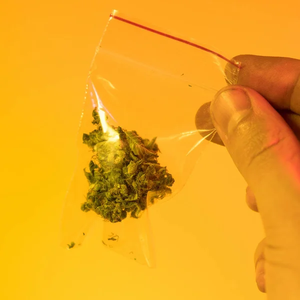 One Pound of Organic Cannabis close-up. Marijuana business — Stock Photo, Image
