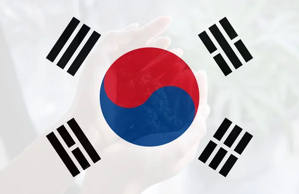 Legalização da maconha medicinal na Coreia do Sul — Fotografia de Stock