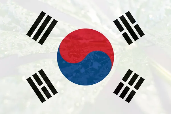 Legalização da maconha medicinal na Coreia do Sul — Fotografia de Stock
