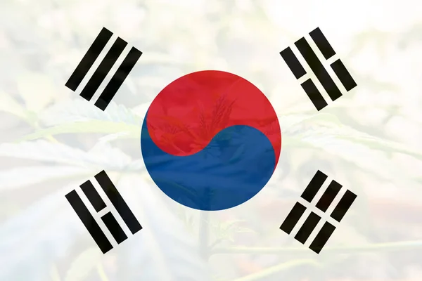 Legalizzazione della marijuana medica in Corea del Sud — Foto Stock