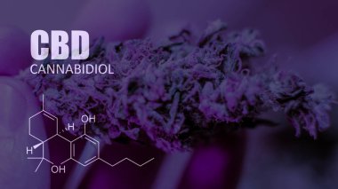 öğeleri Tıbbi Esrar suşları Thc Cbd kimyasal formüller