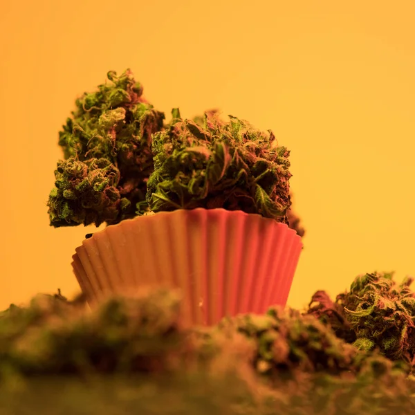 Un primo piano su una libbra di cannabis biologica. Affari della marijuana — Foto Stock