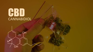 öğeleri Tıbbi Esrar suşları Thc Cbd kimyasal formüller