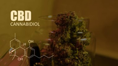 öğeleri Tıbbi Esrar suşları Thc Cbd kimyasal formüller