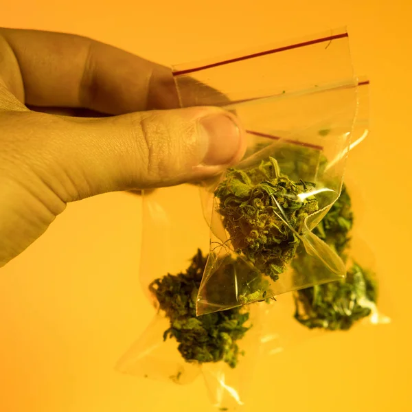 Una libra de cannabis orgánico —  Fotos de Stock