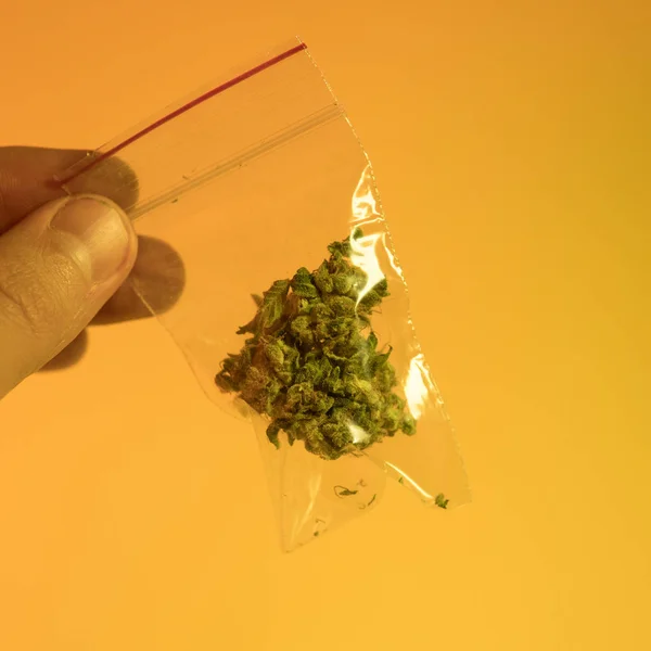 One Pound of Organic Cannabis — Stock Photo, Image
