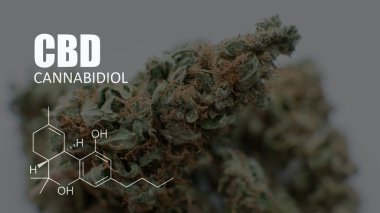 öğeleri Tıbbi Esrar suşları Thc Cbd kimyasal formüller