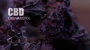 öğeleri Tıbbi Esrar suşları Thc Cbd kimyasal formüller