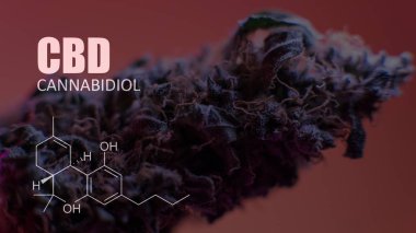 öğeleri Tıbbi Esrar suşları Thc Cbd kimyasal formüller